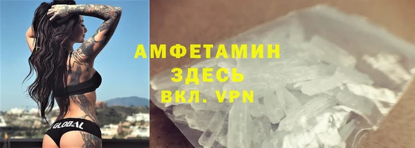 ГАЛЛЮЦИНОГЕННЫЕ ГРИБЫ Михайлов