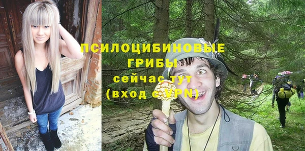 амфетамин Алексеевка