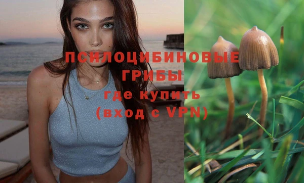 амфетамин Алексеевка