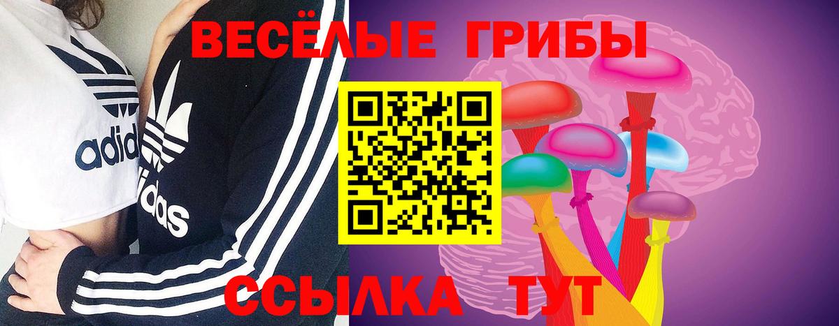 Псилоцибиновые грибы мицелий Евпатория