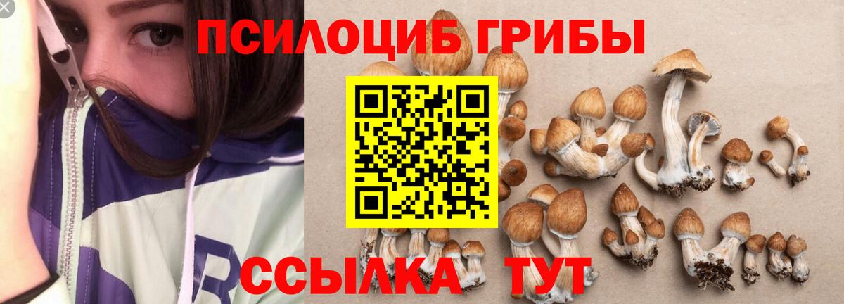 Псилоцибиновые грибы GOLDEN TEACHER  Псилоцибиновые грибы мицелий  Вход с VPN  Евпатория 